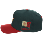 Houston Astros MLB Gilded Grove Mitchell & Ness Pro Pinch