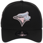 Toronto Blue Jays MLB Pewter Skies New Era 9FORTY A-Frame