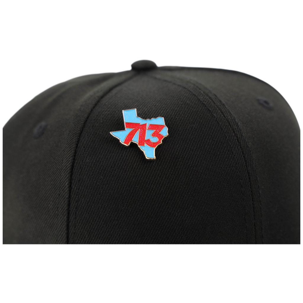 713 State Pin - Houston Pin the City