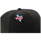 713 State Pin - Houston Pin the City