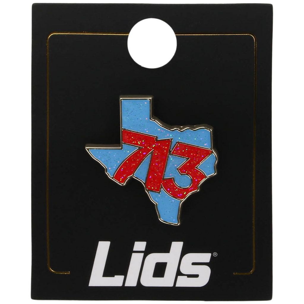 713 State Pin - Houston Pin the City