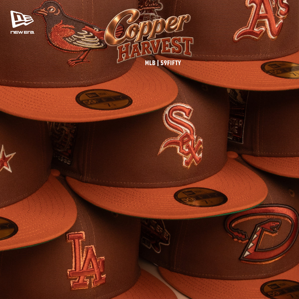 Lids HD